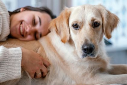 Hund kommt nicht zur Ruhe